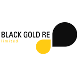black-gold-re-software-de-contratos